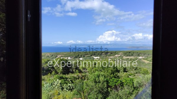 casa indipendente in vendita a Carloforte