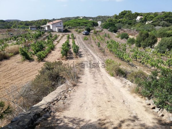 casa indipendente in vendita a Carloforte