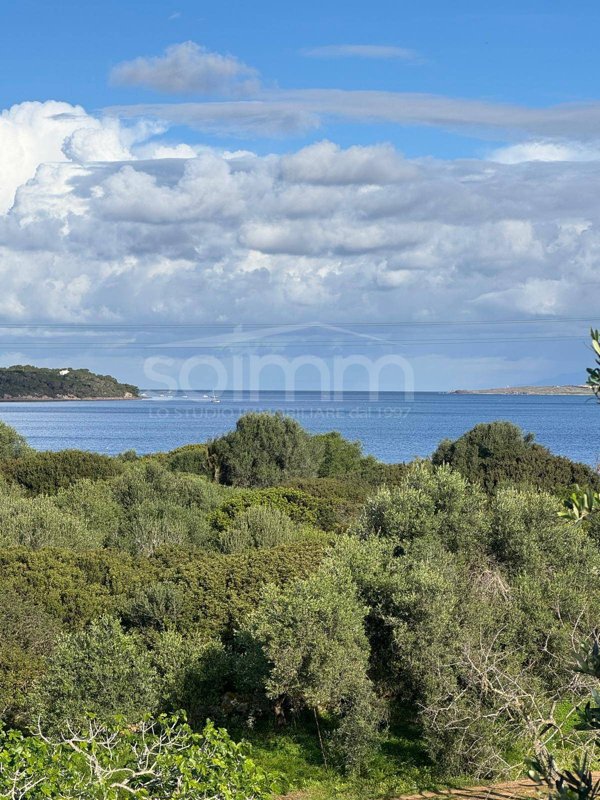 casa indipendente in vendita a Carloforte