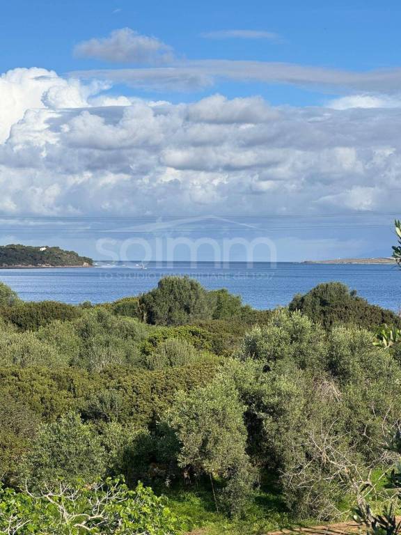 casa indipendente in vendita a Carloforte