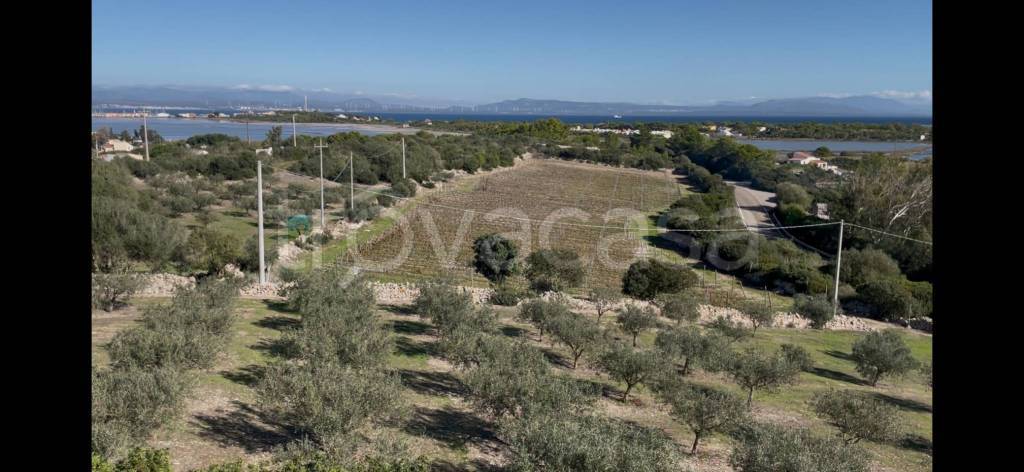 casa indipendente in vendita a Carloforte