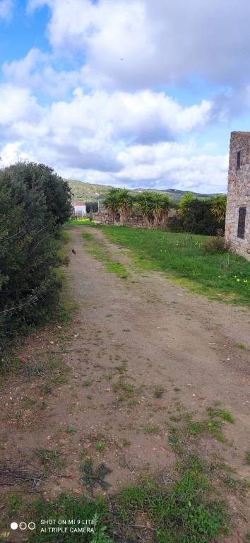 casa indipendente in vendita a Carloforte