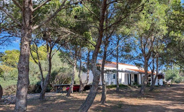 casa indipendente in vendita a Carloforte