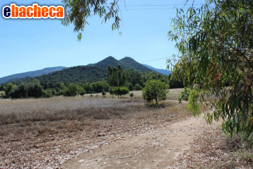 casa indipendente in vendita a Castiadas