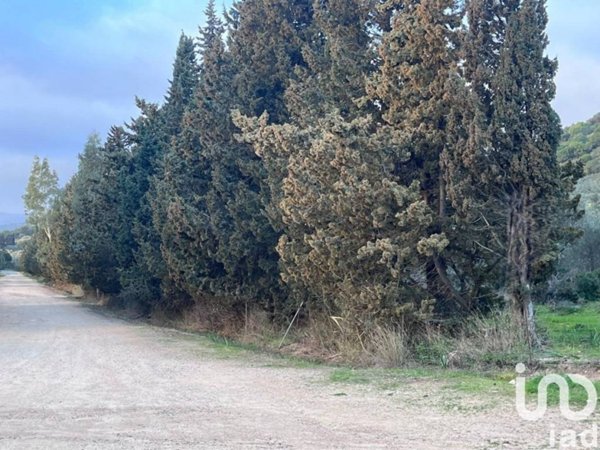 terreno agricolo in vendita a Castiadas