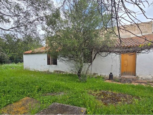 casa indipendente in vendita a Castiadas