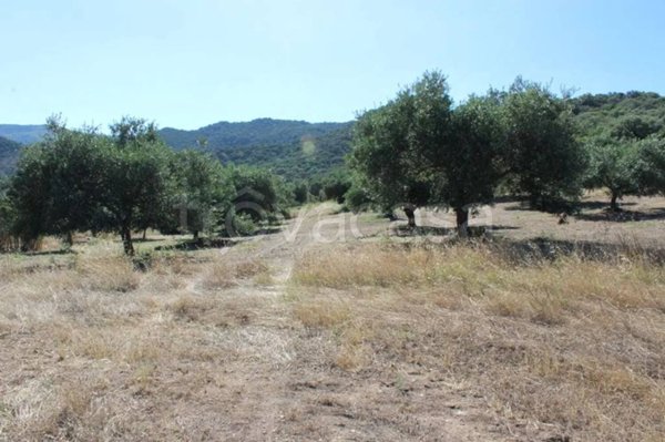casa indipendente in vendita a Castiadas