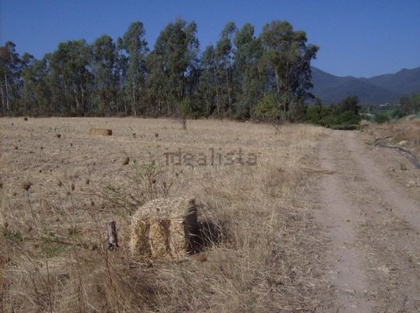casa indipendente in vendita a Castiadas