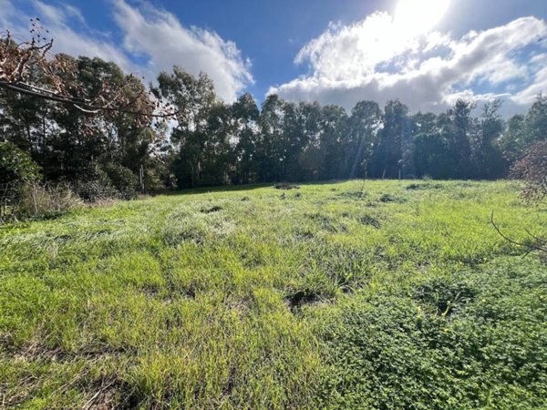 terreno agricolo in vendita a Castiadas
