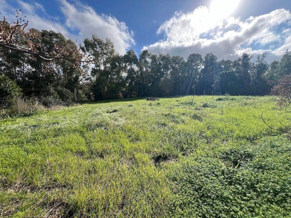 terreno agricolo in vendita a Castiadas