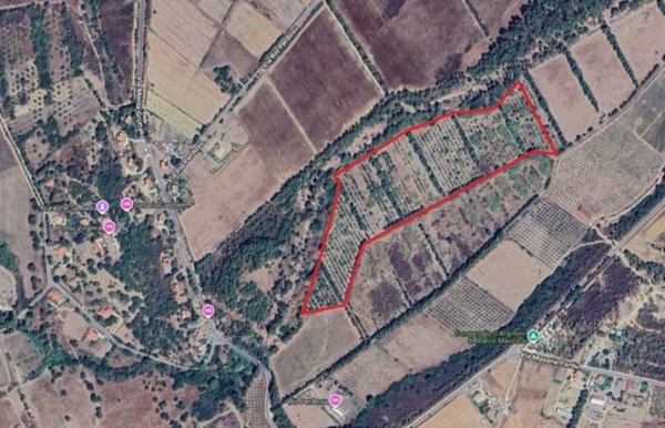 terreno agricolo in vendita a Castiadas