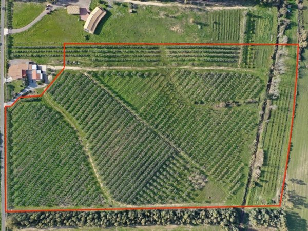 terreno agricolo in vendita a Castiadas