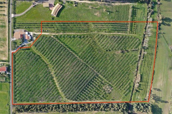 terreno agricolo in vendita a Castiadas