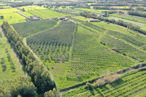 terreno agricolo in vendita a Castiadas
