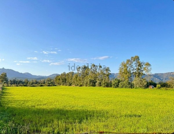 terreno agricolo in vendita a Castiadas