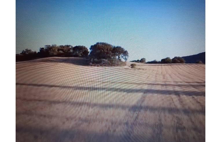 casa indipendente in vendita a Castiadas