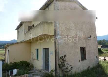 azienda agricola in vendita a Castiadas