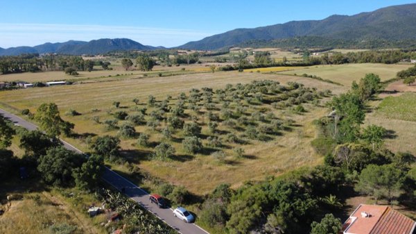 terreno agricolo in vendita a Castiadas