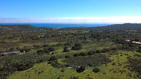terreno agricolo in vendita a Castiadas