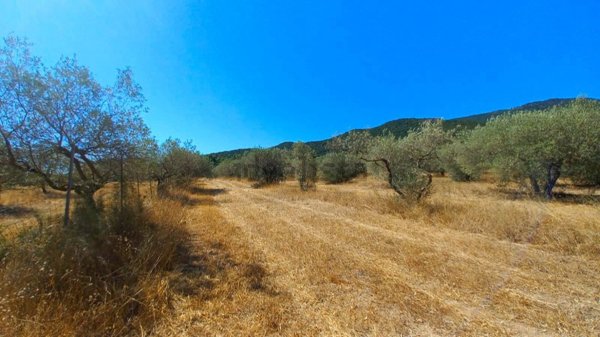 terreno agricolo in vendita a Castiadas