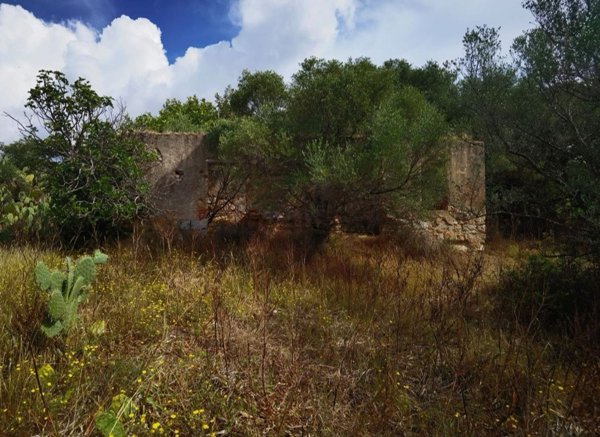 casa indipendente in vendita a Castiadas