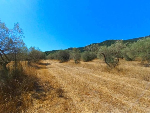 terreno agricolo in vendita a Castiadas