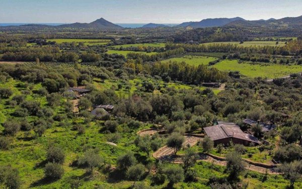 terreno agricolo in vendita a Castiadas