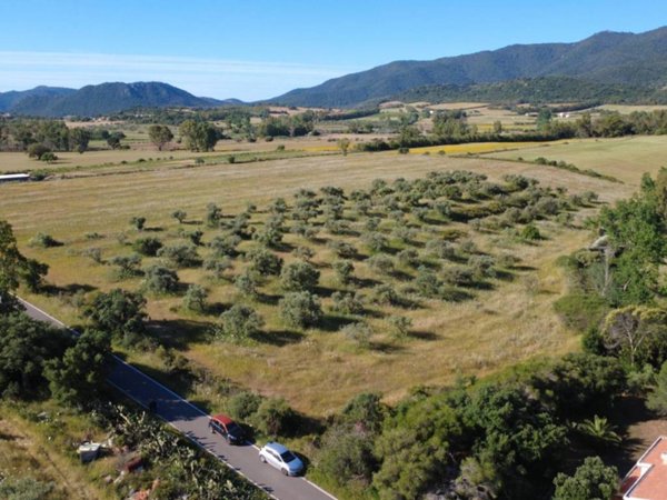 terreno agricolo in vendita a Castiadas