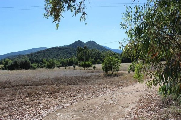 casa indipendente in vendita a Castiadas