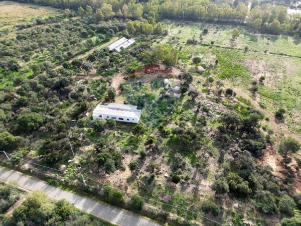 azienda agricola in vendita a Decimoputzu