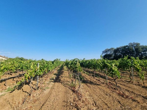 terreno agricolo in vendita a Decimoputzu