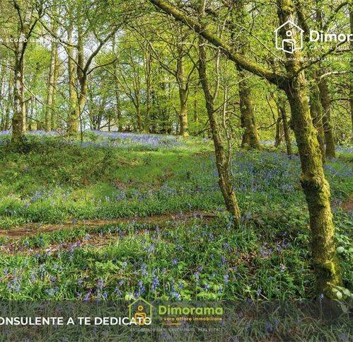 negozio in vendita a Decimoputzu