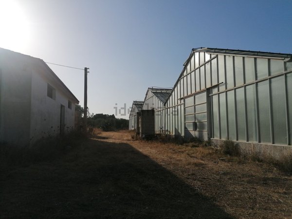 azienda agricola in vendita a Decimoputzu