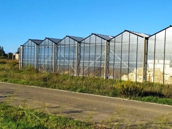 terreno agricolo in vendita a Decimoputzu