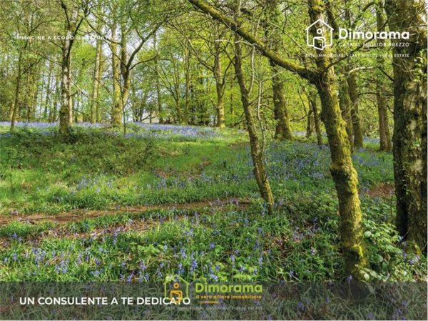 ufficio in vendita a Decimoputzu