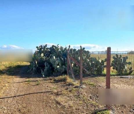 terreno agricolo in vendita a Decimoputzu