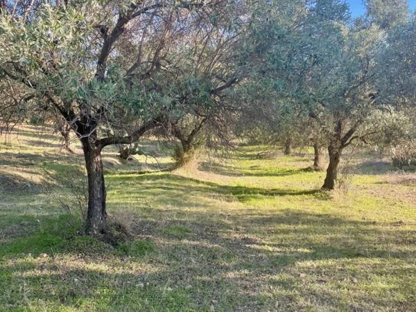 terreno agricolo in vendita a Dolianova