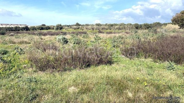 terreno agricolo in vendita a Dolianova