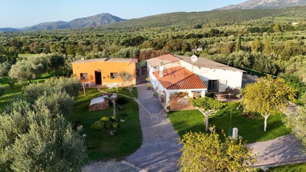 casa indipendente in vendita a Dolianova