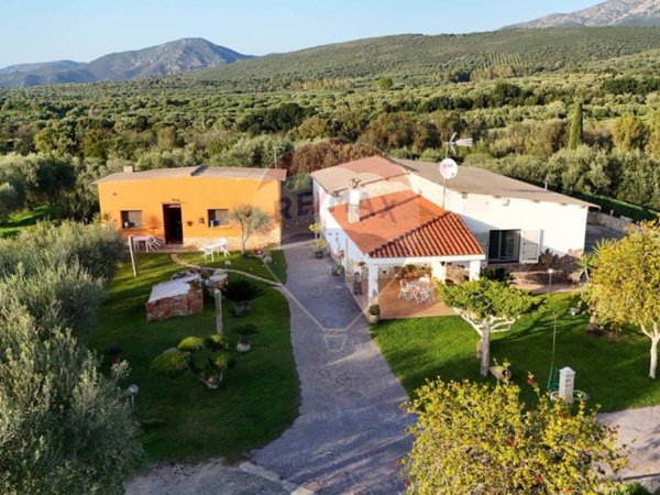 casa indipendente in vendita a Dolianova