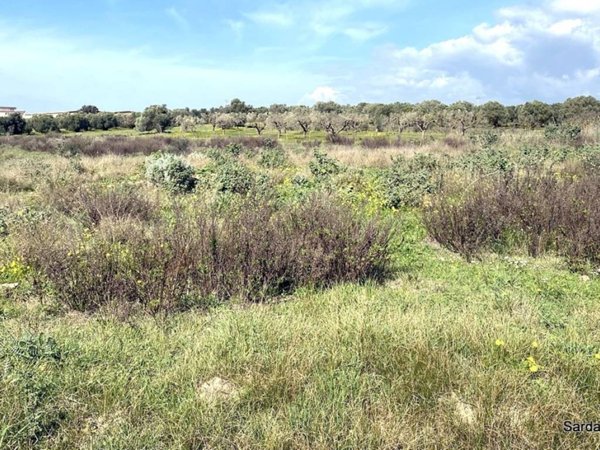terreno agricolo in vendita a Dolianova
