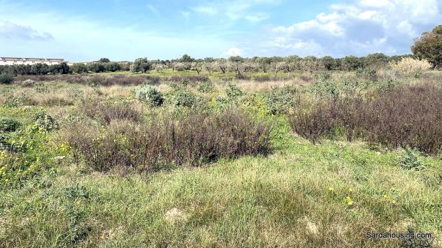 terreno agricolo in vendita a Dolianova