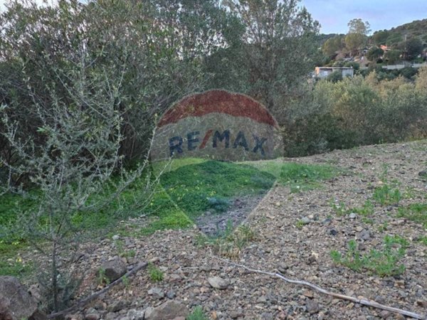 terreno agricolo in vendita a Dolianova