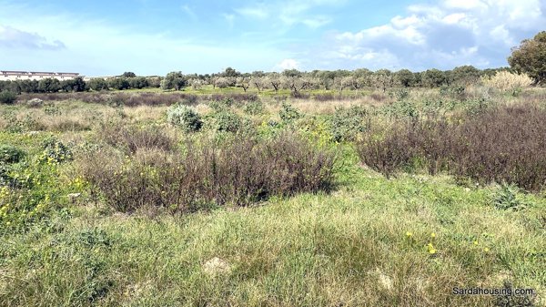 terreno agricolo in vendita a Dolianova