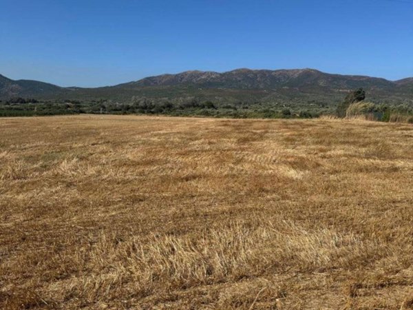 terreno agricolo in vendita a Dolianova