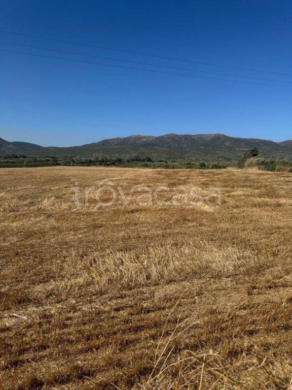 terreno agricolo in vendita a Dolianova
