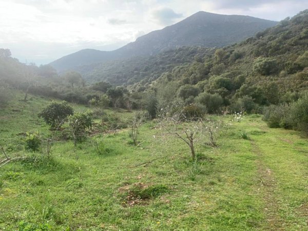 terreno agricolo in vendita a Dolianova