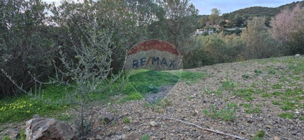 terreno agricolo in vendita a Dolianova