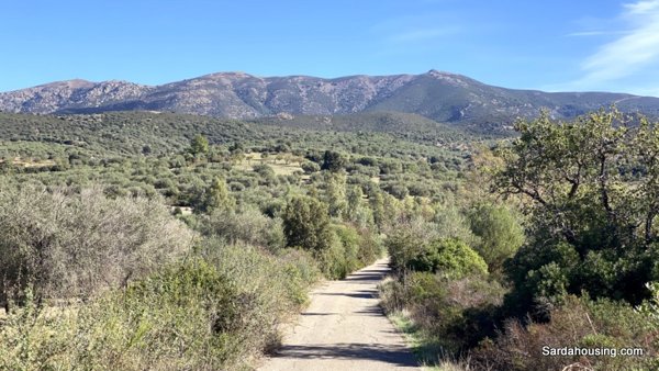 casa indipendente in vendita a Dolianova