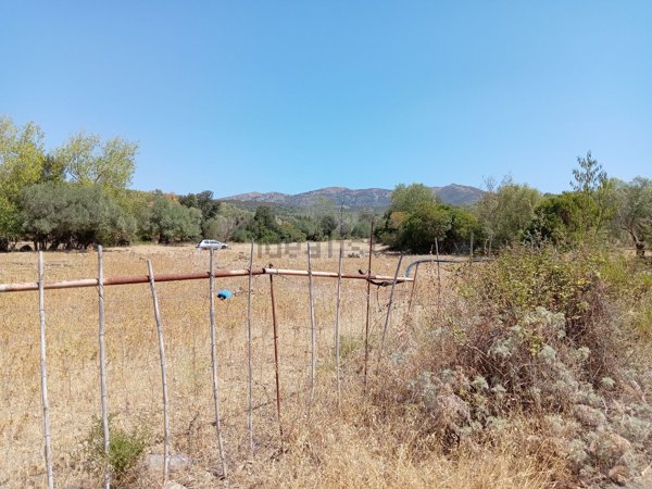 terreno agricolo in vendita a Dolianova
